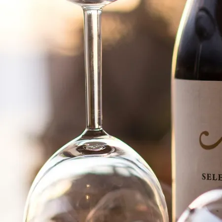 公寓 高级c公寓：私人游泳池和礼宾服务 伊科德·德·洛斯·维诺斯