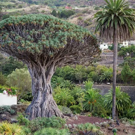 高级c公寓：私人游泳池和礼宾服务 *
